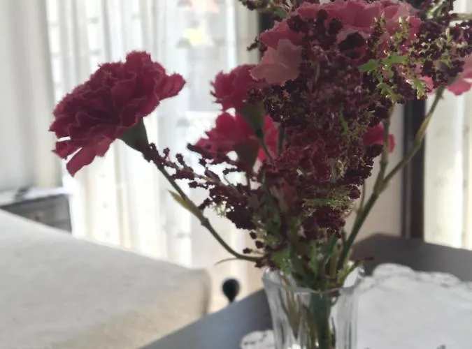 Boavista 3* ポルト