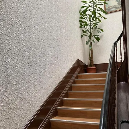 Boavista בית הארחה פורטו