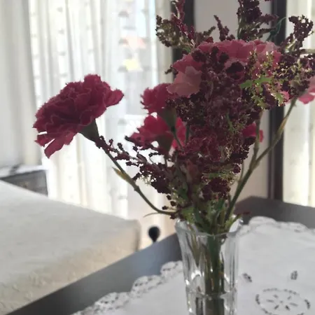 Boavista 3* פורטו