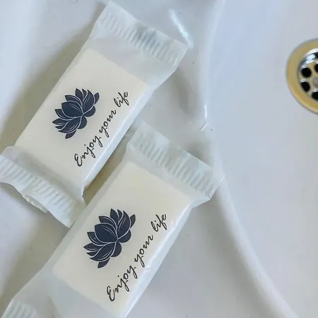 Boavista בית הארחה