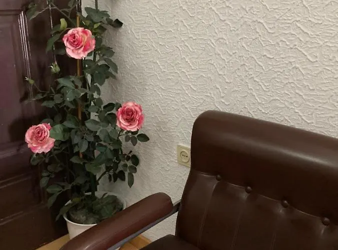 Boavista 3* 포르투